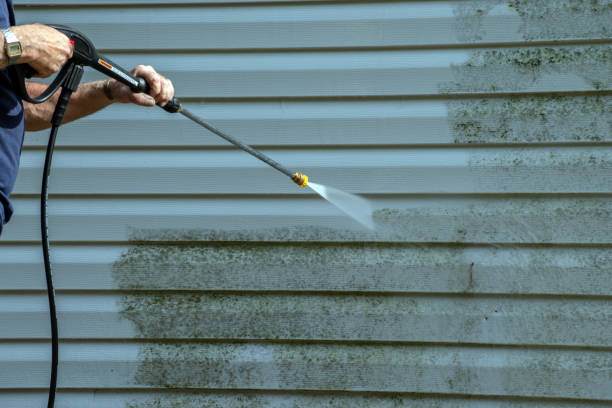 Best Sidewalk and Walkway Cleaning  in Kraemer, LA
