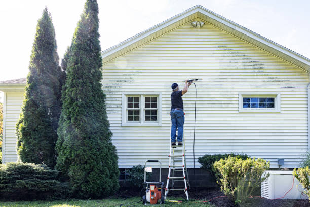  Kraemer, LA Pressure Washing Pros